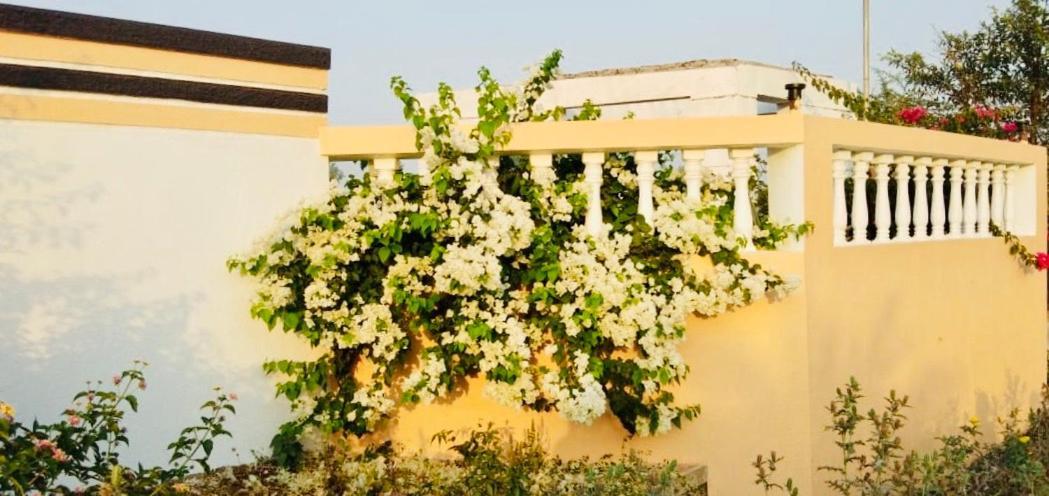 Royal Meadows - Igatpuri Bungalow C מראה חיצוני תמונה