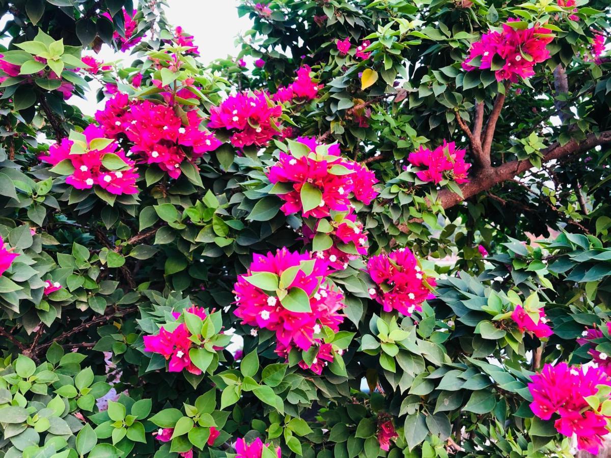 Royal Meadows - Igatpuri Bungalow C מראה חיצוני תמונה