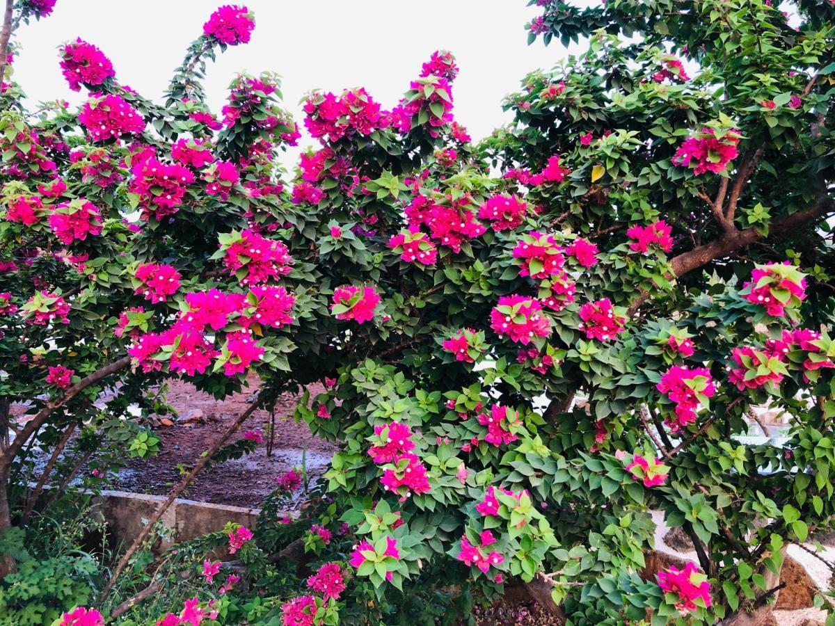 Royal Meadows - Igatpuri Bungalow C מראה חיצוני תמונה